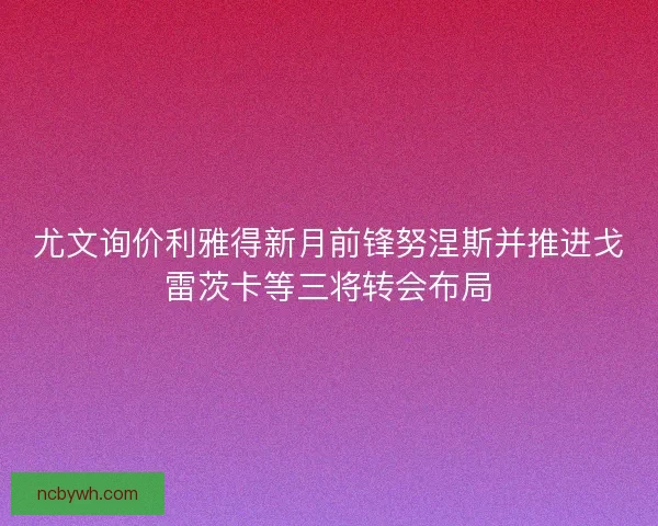 尤文询价利雅得新月前锋努涅斯并推进戈雷茨卡等三将转会布局 尤文询价利雅得新月前锋努涅斯并推进戈雷茨卡等三将转会布局