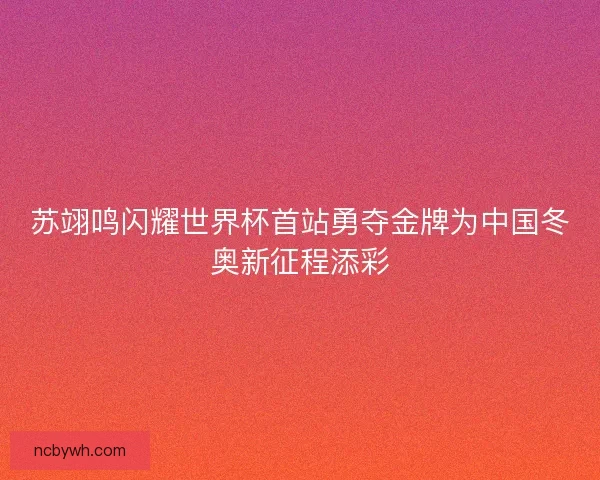 苏翊鸣闪耀世界杯首站勇夺金牌为中国冬奥新征程添彩 苏翊鸣闪耀世界杯首站勇夺金牌为中国冬奥新征程添彩