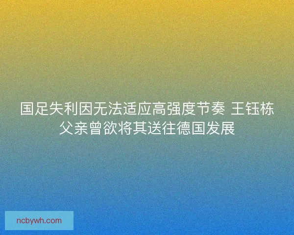 国足失利因无法适应高强度节奏 王钰栋父亲曾欲将其送往德国发展 国足失利因无法适应高强度节奏 王钰栋父亲曾欲将其送往德国发展