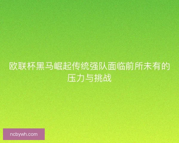 欧联杯黑马崛起传统强队面临前所未有的压力与挑战 欧联杯黑马崛起传统强队面临前所未有的压力与挑战